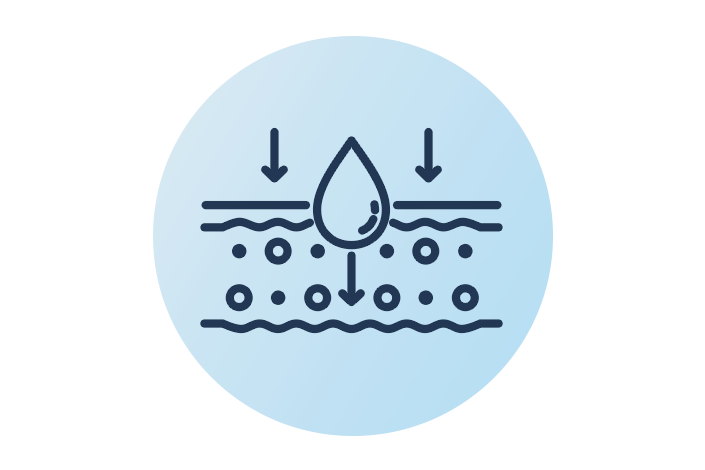 Icon for bioavailability nutrient absorption