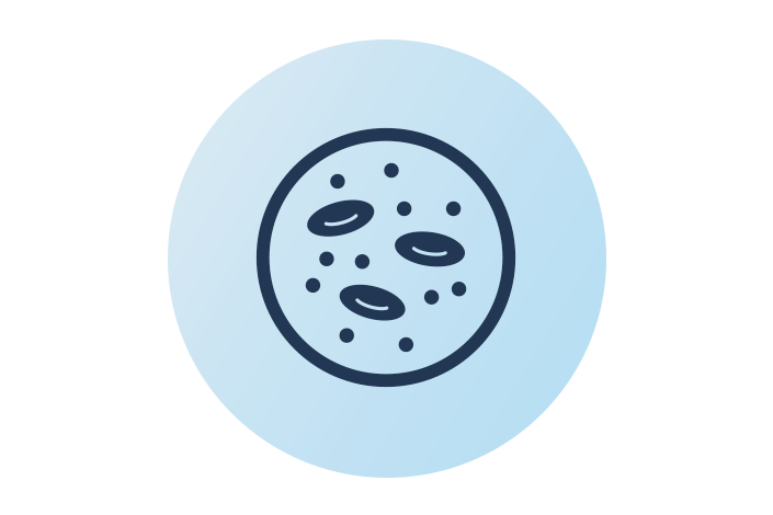 Icon for healthy cholesterol regulation